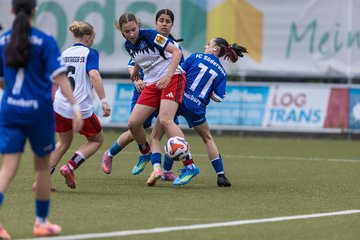 Bild 328 - wBJ Hamburger SV - FC Suederelbe : Ergebnis: 9:0